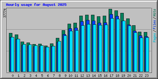 Hourly usage for August 2025
