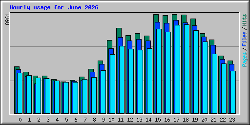 Hourly usage for June 2026