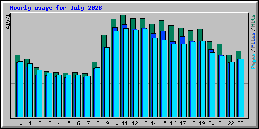 Hourly usage for July 2026